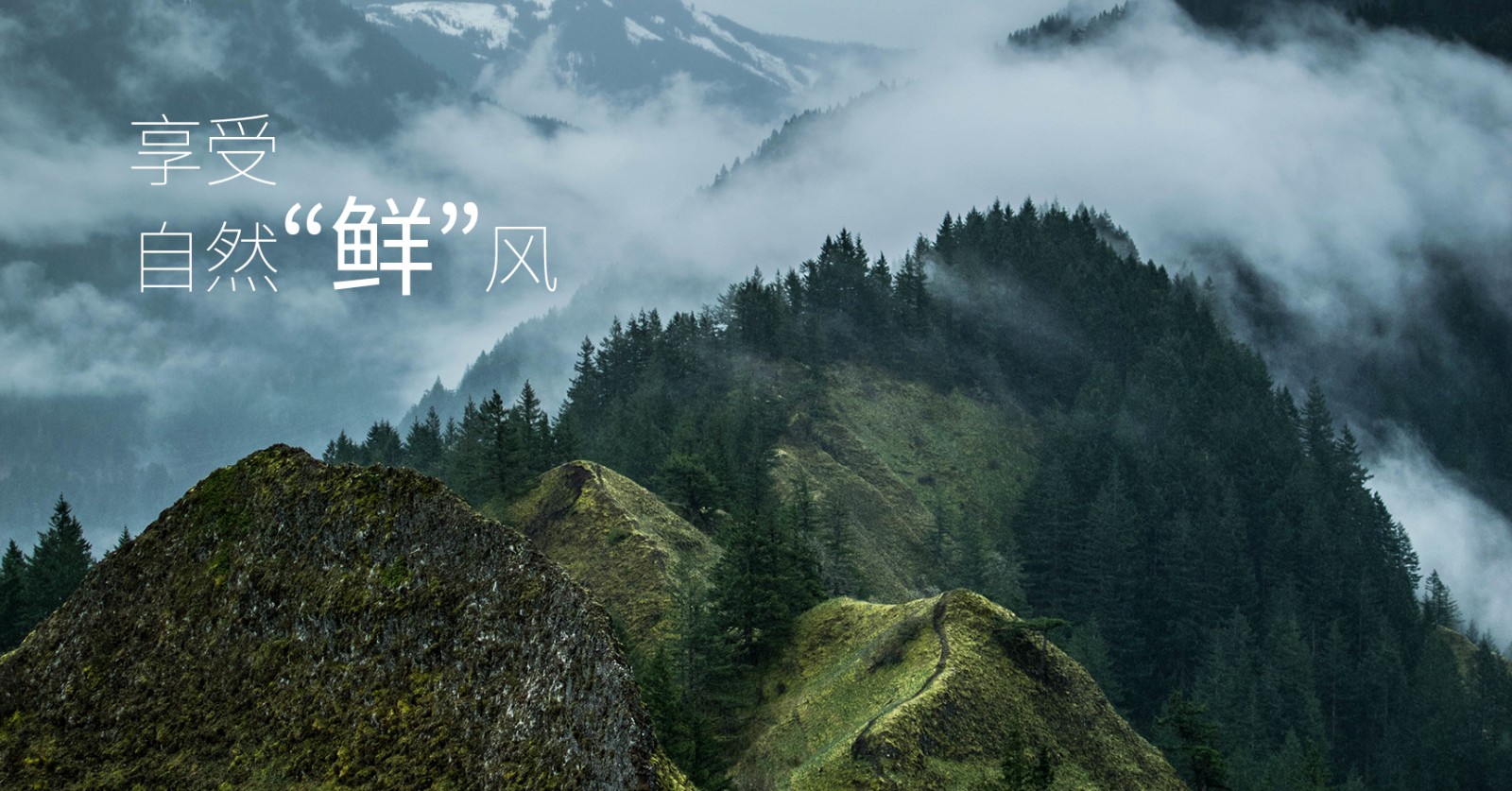 颯多大的、爽.jpg